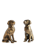 Pottery Barn Labrador bookends set of 2 brass - British product