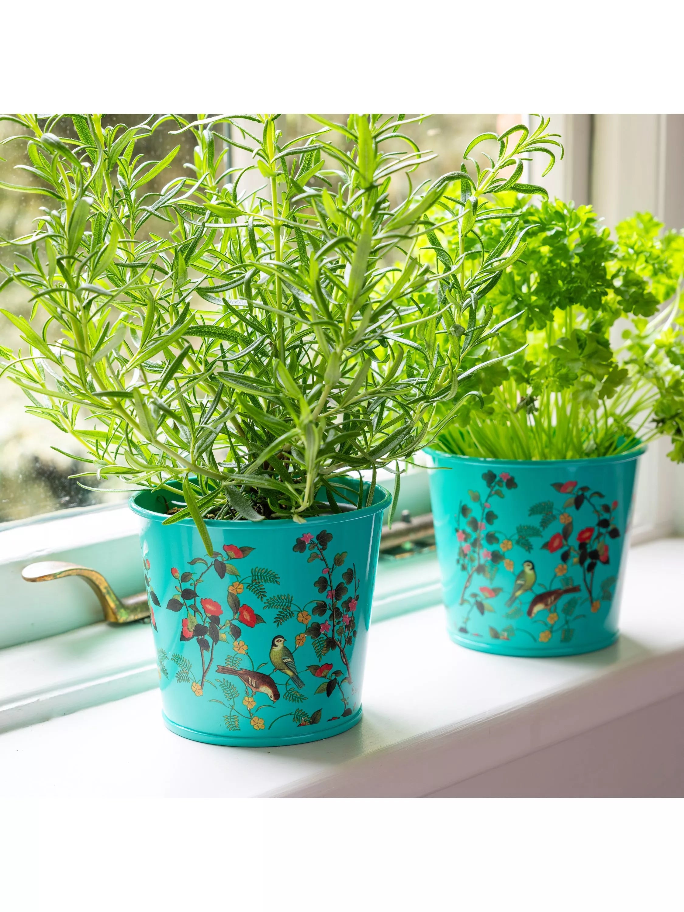 Burgon & Ball herb pots set of 2 - British product