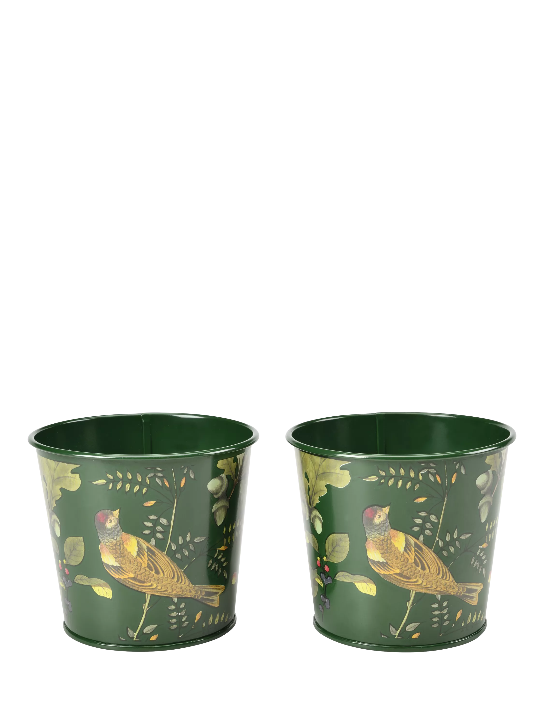 Burgon & Ball RHS Woodland Wonders herb pots set, UK version