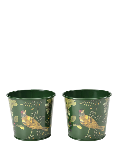 John Lewis Burgon & Ball RHS Woodland Wonders Herb Pots, Set of 2, Green/Multi- Buy online at McGrocer