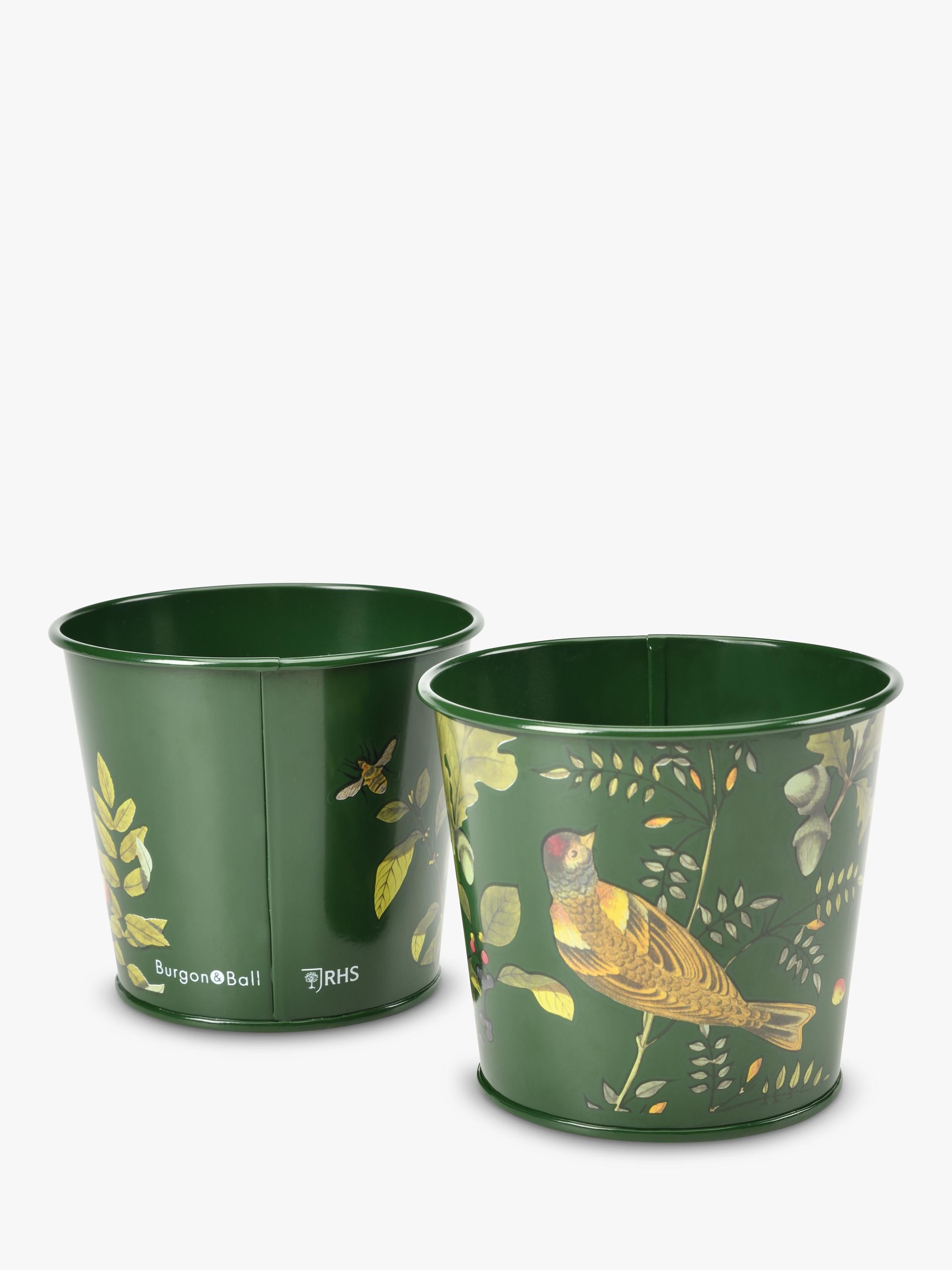 Burgon & Ball RHS Woodland Wonders herb pots set, UK version