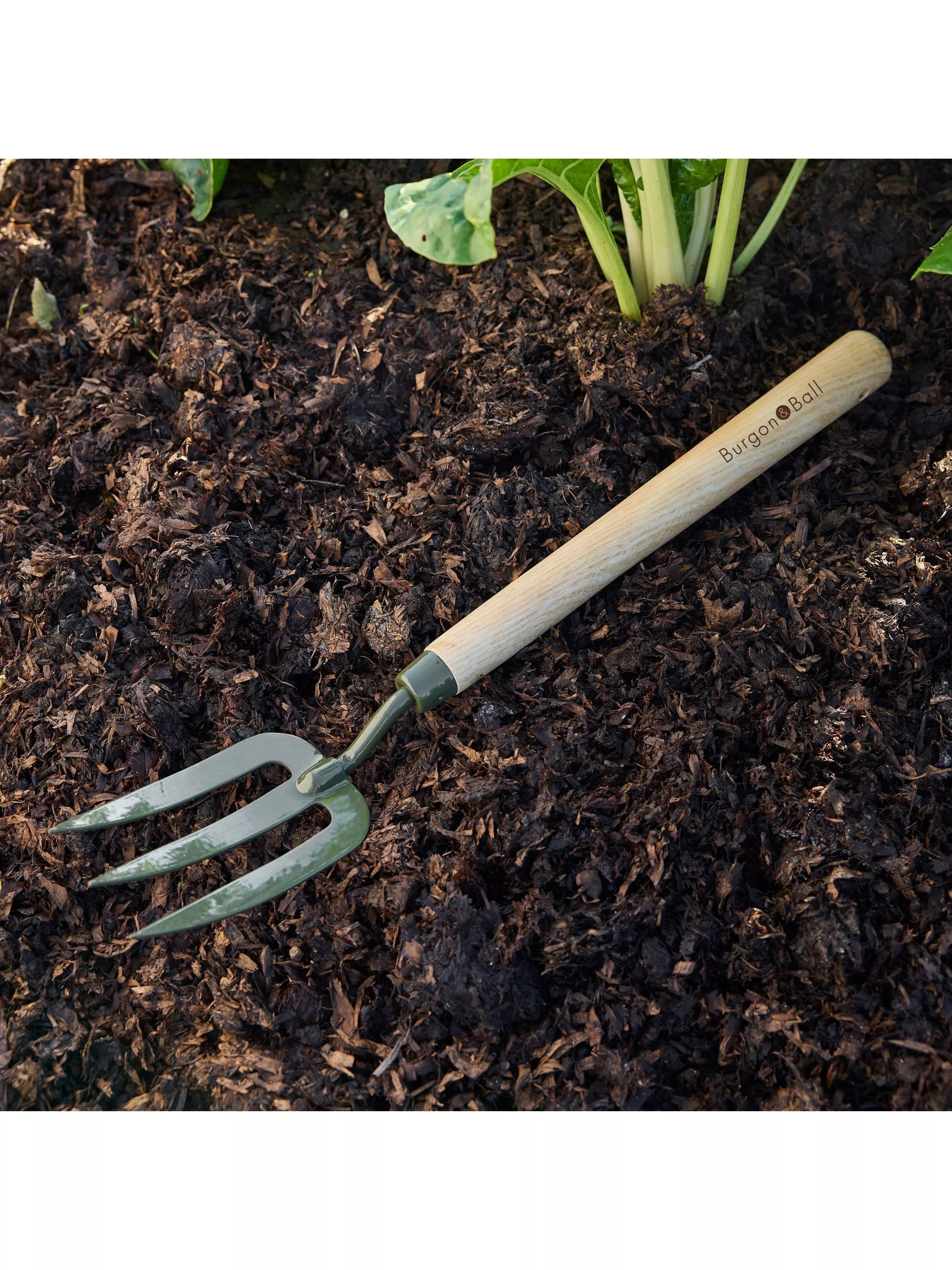 Burgon & Ball BoronGreen garden fork mid-length handle, UK version