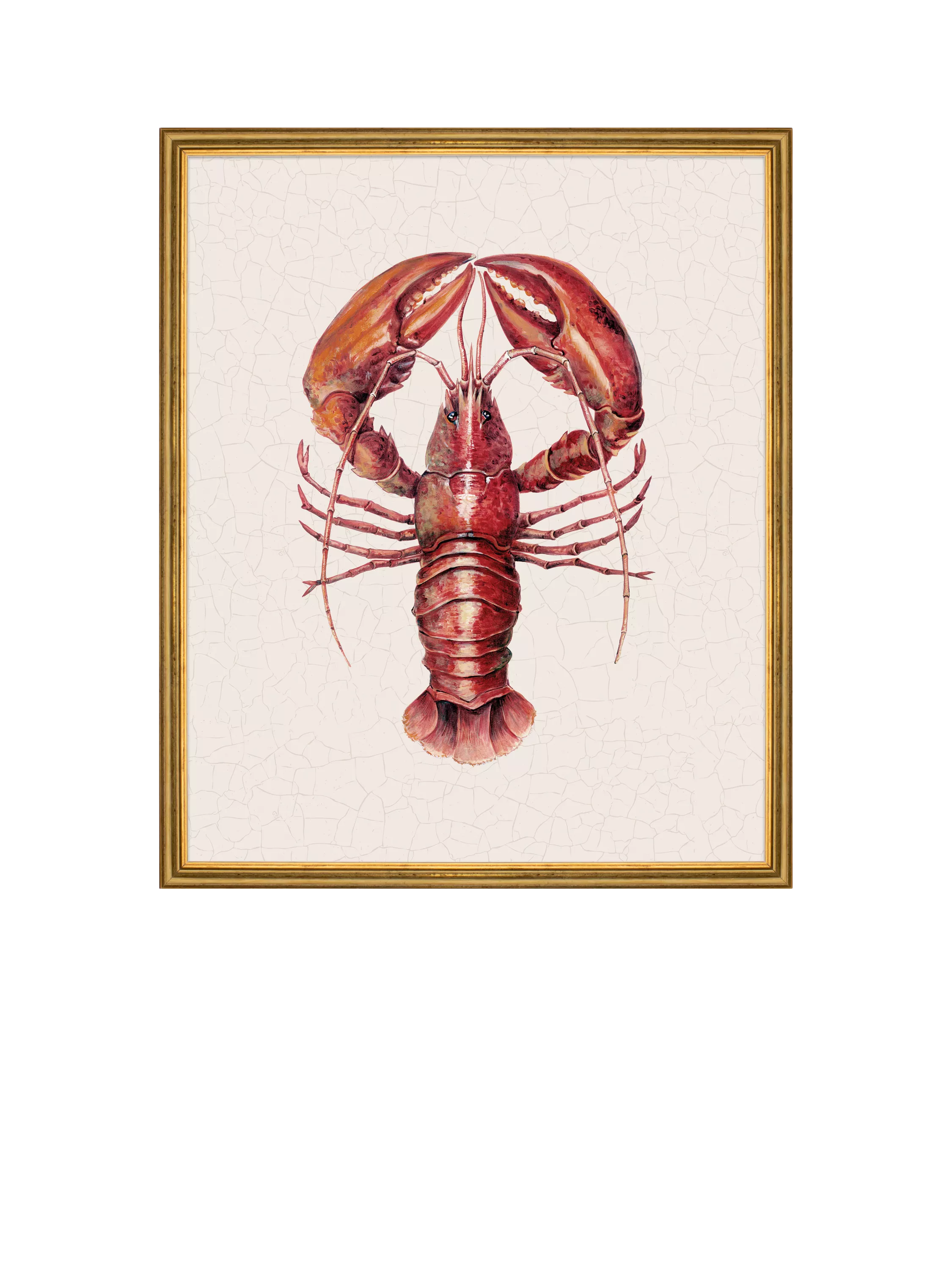 Brookpace Lascelles framed canvas print red lobster 38x31cm, imported from the UK
