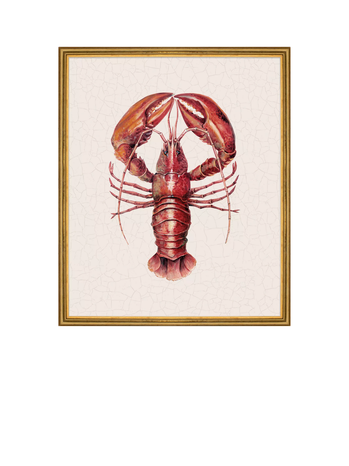 Brookpace Lascelles framed canvas print red lobster 38x31cm, imported from the UK