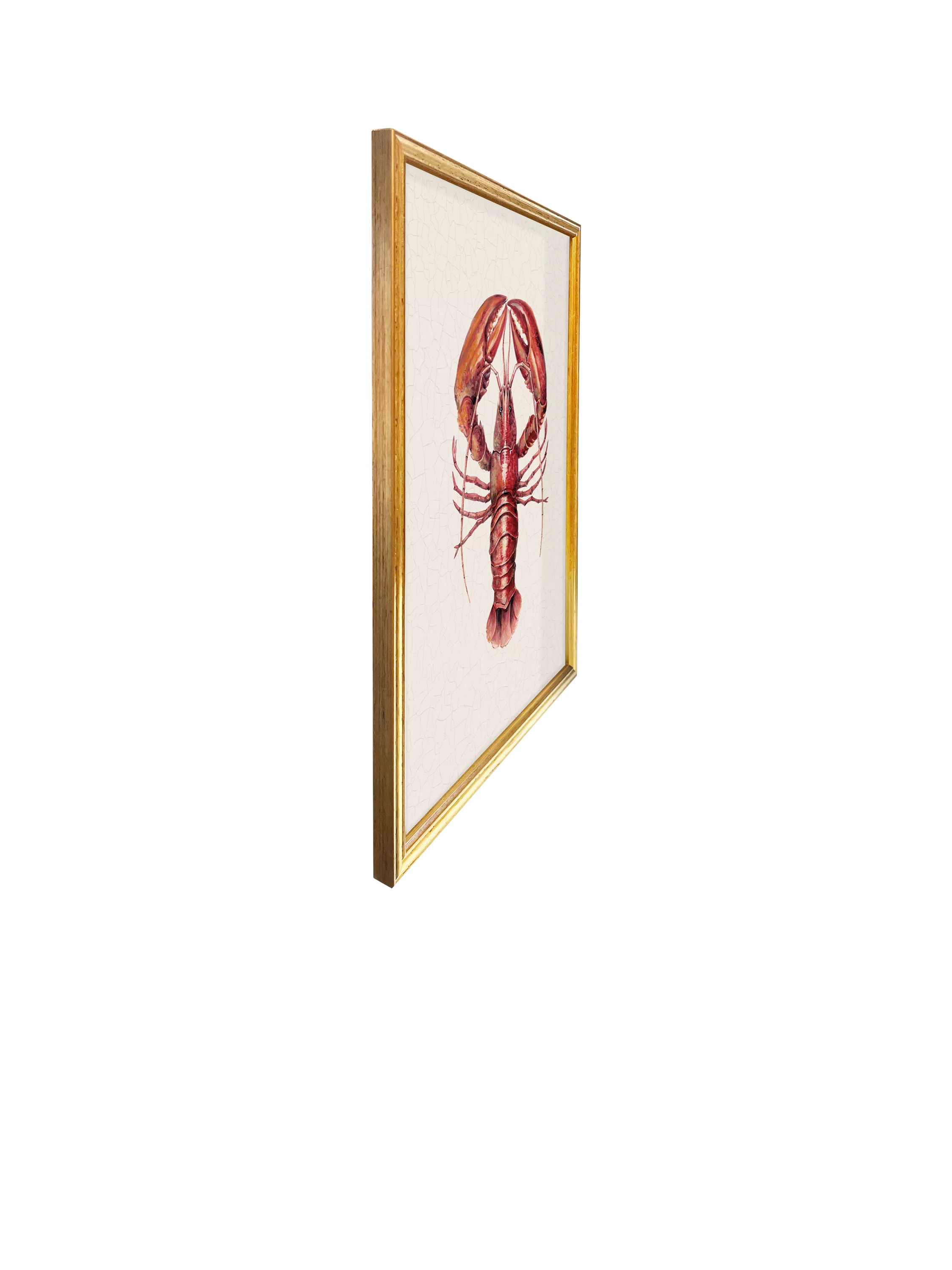 Brookpace Lascelles framed canvas print red lobster 38x31cm, imported from the UK