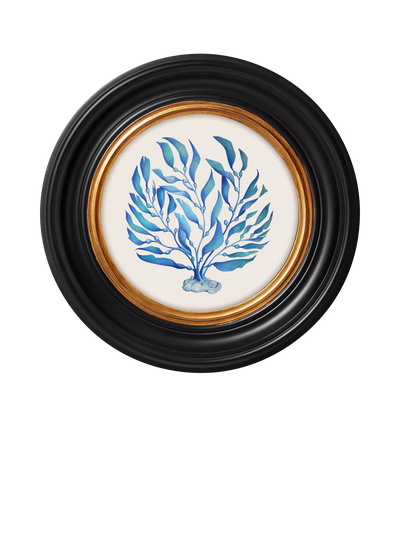 John Lewis Brookpace Lascelles Ocean Feather Round Porthole Framed Print, Blue, 36cm- Buy online at McGrocer