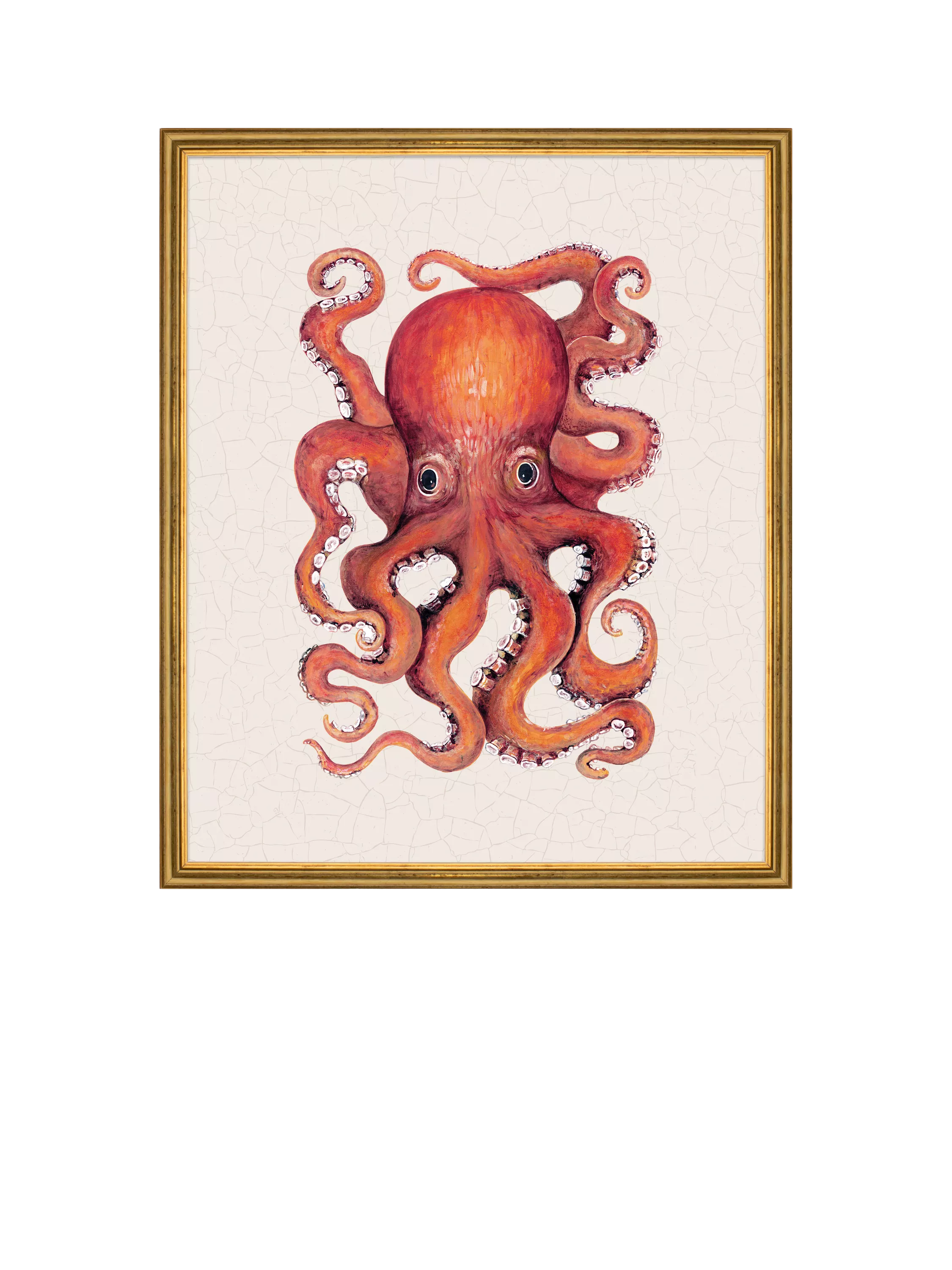 Brookpace Lascelles red octopus framed canvas print 38x31cm (British brand)