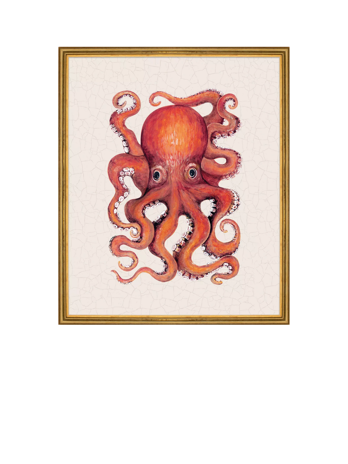 Brookpace Lascelles red octopus framed canvas print 38x31cm (British brand)