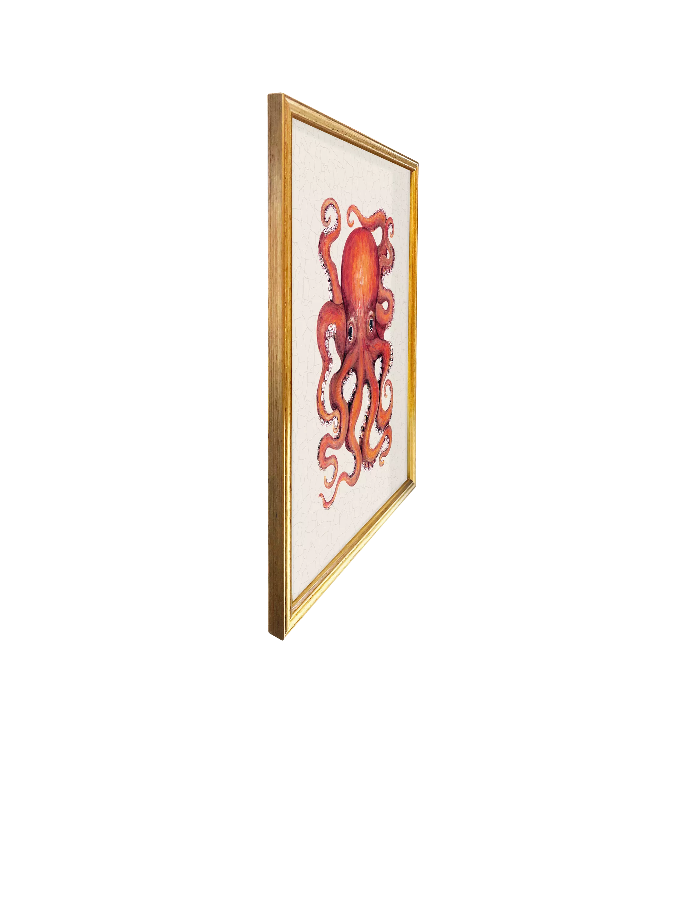 Brookpace Lascelles red octopus framed canvas print 38x31cm (British brand)