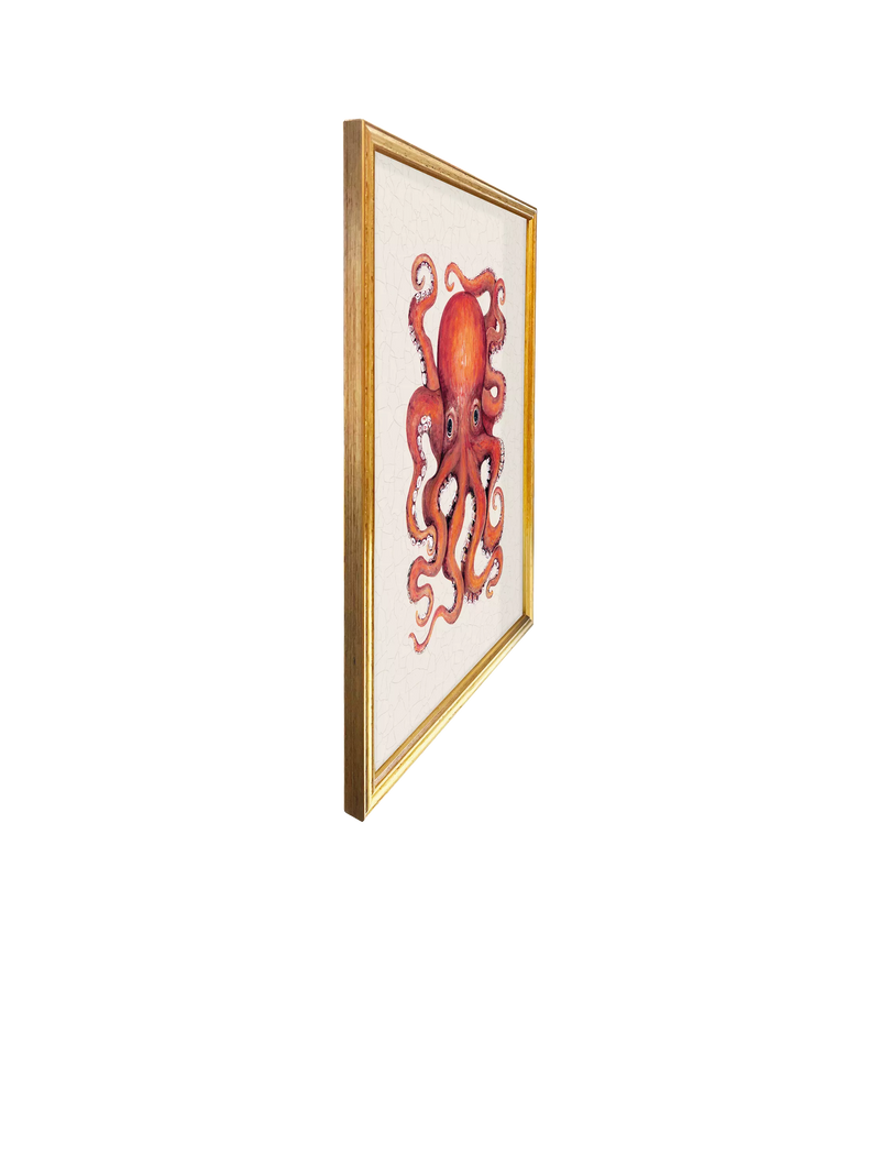 Brookpace Lascelles red octopus framed canvas print 38x31cm (British brand)