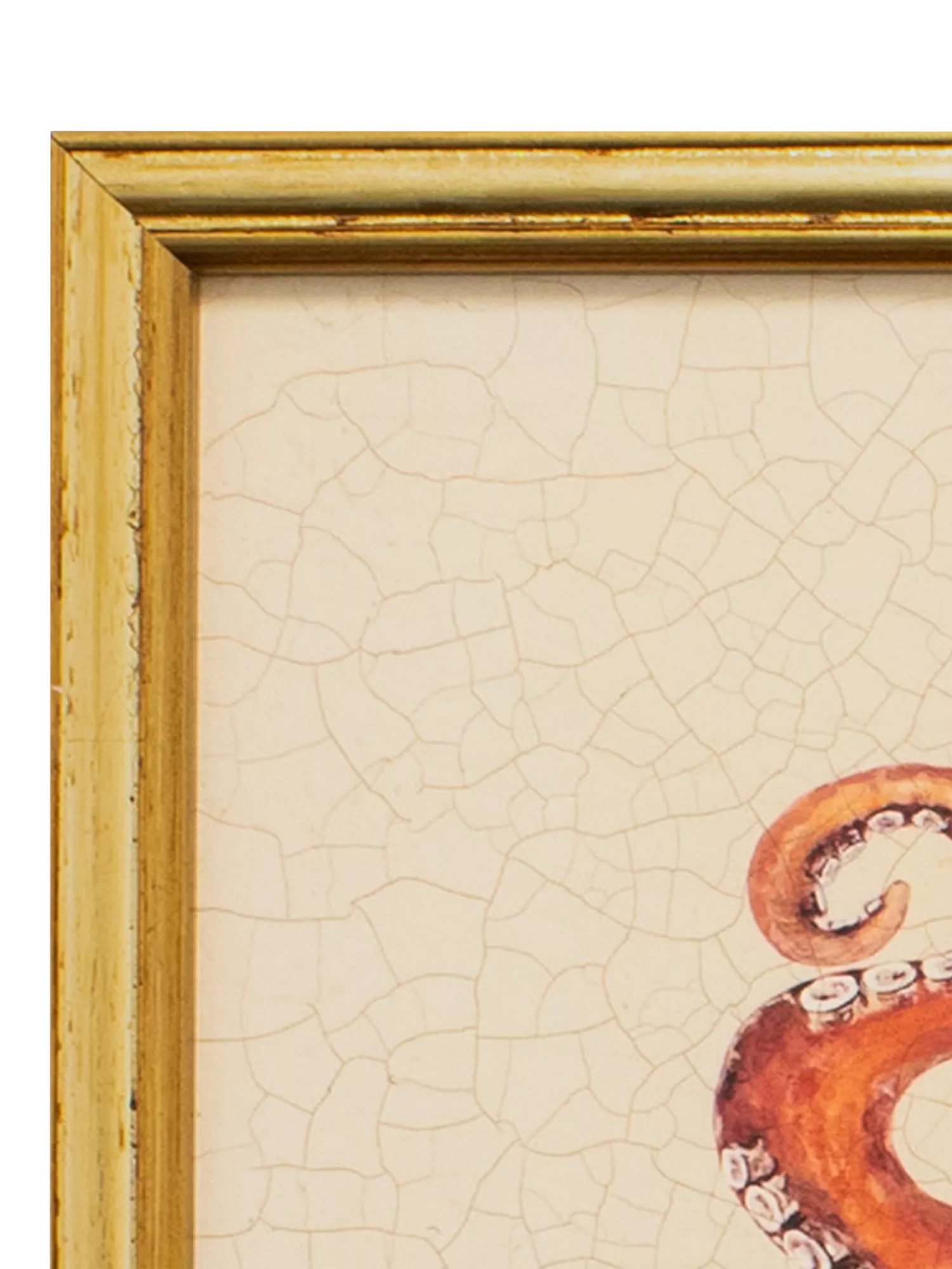 Brookpace Lascelles red octopus framed canvas print 38x31cm (British brand)