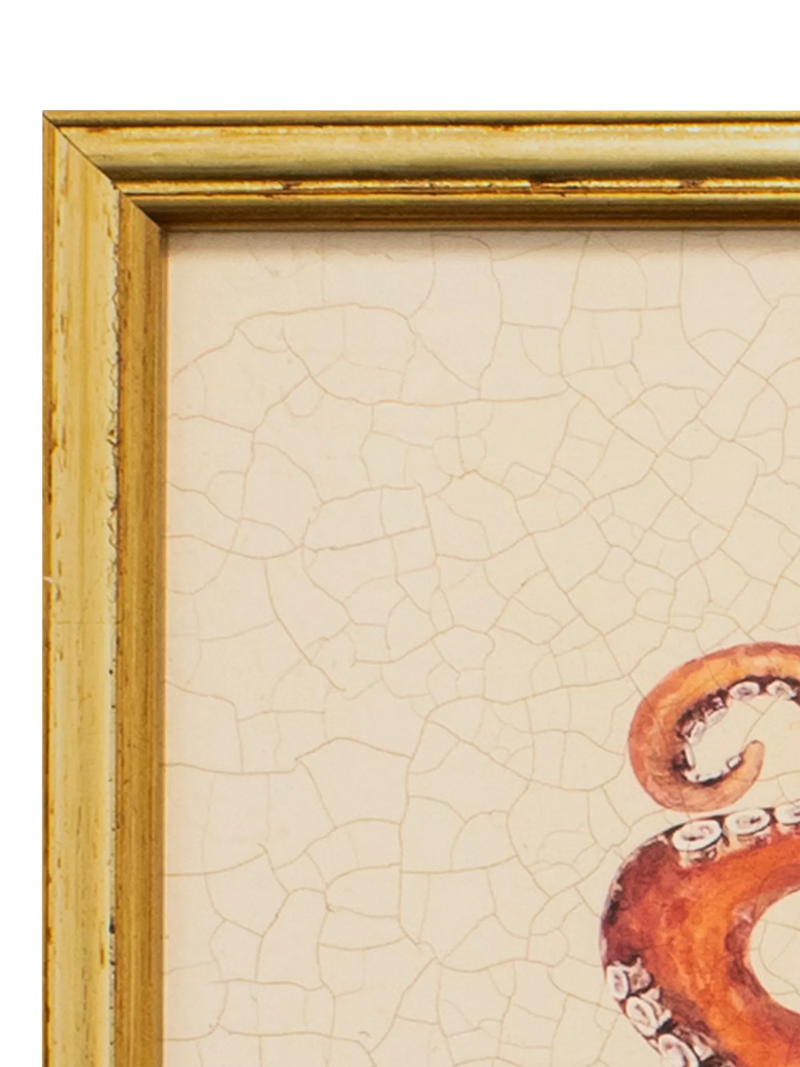 Brookpace Lascelles red octopus framed canvas print 38x31cm (British brand)