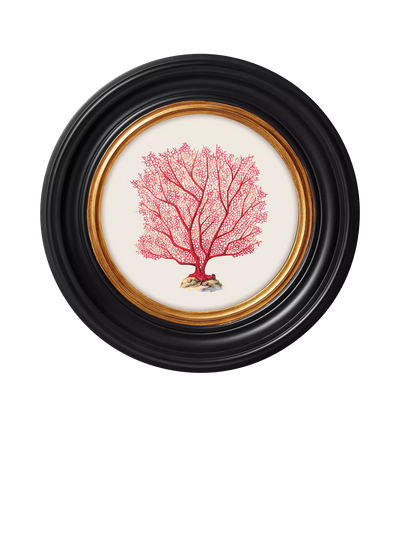 John Lewis Brookpace Lascelles 'Sea Flame' Round Framed Print, Red, 36cm- Buy online at McGrocer