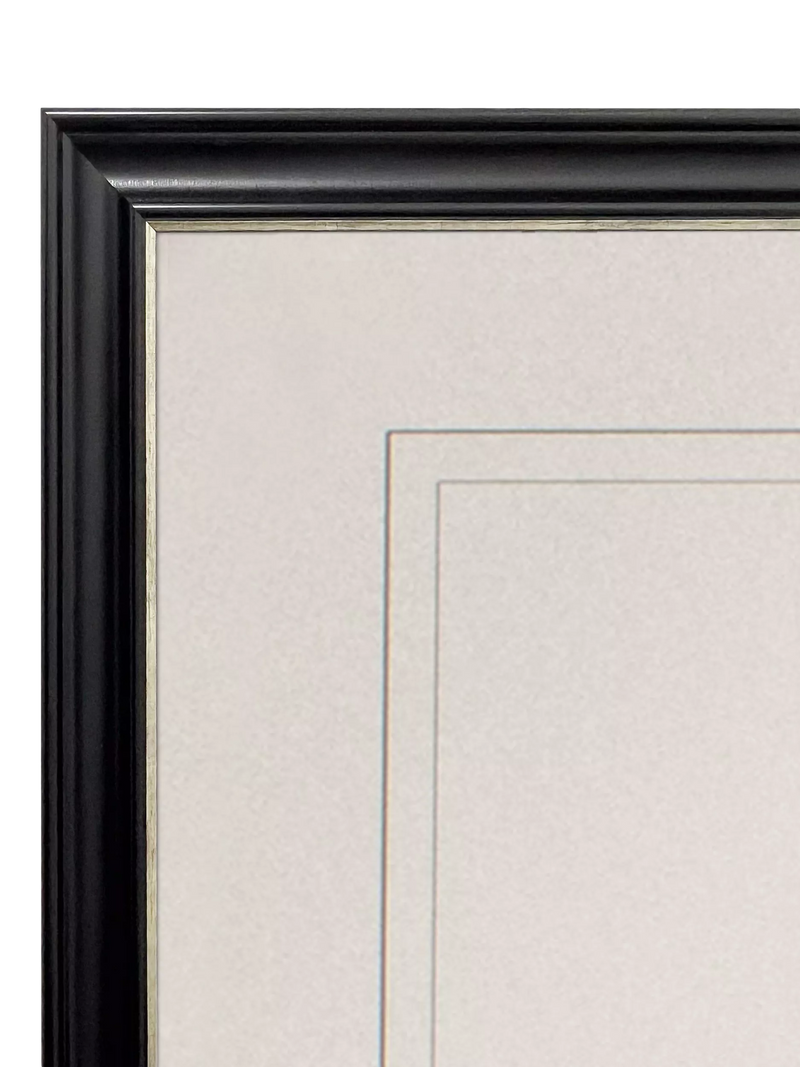 Brookpace Lascelles framed print Tulip II 59x49cm, imported from the UK