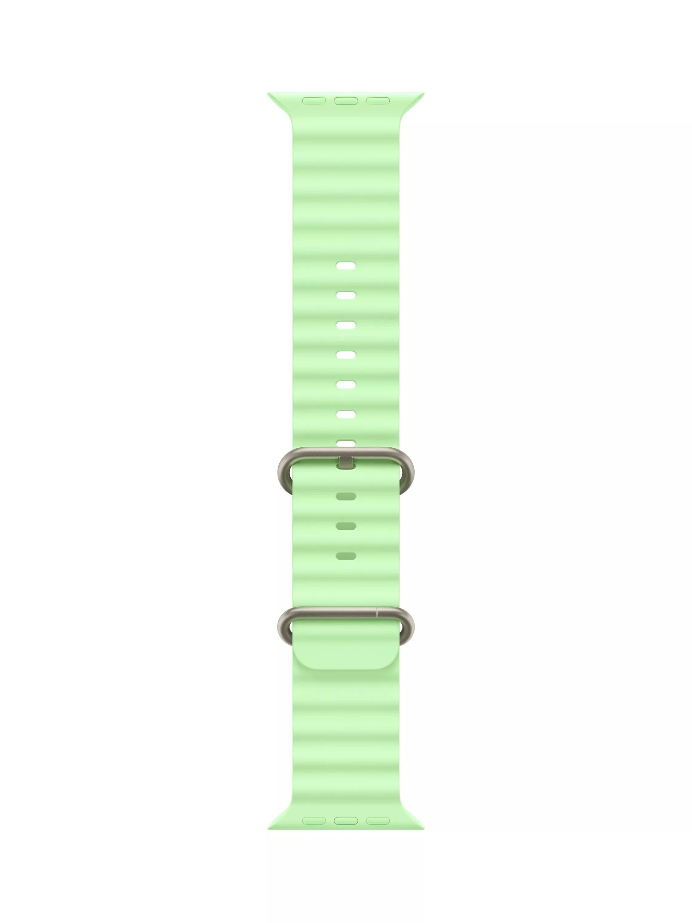 Apple Ocean Band Natural Titanium Finish Apple Watch Strap 49mm