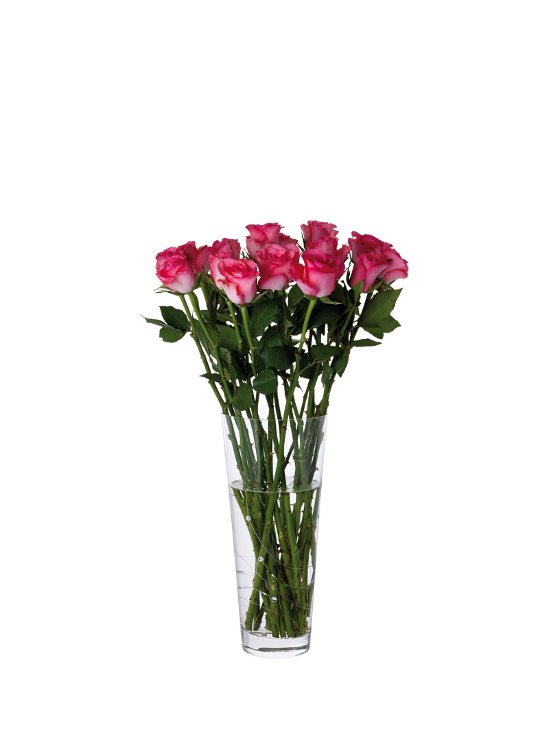 Dartington Crystal Glitz conical vase 30cm, imported from the UK