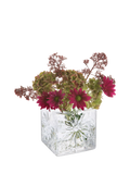 Dartington Crystal Marguerite Square vase 12cm, imported from the UK