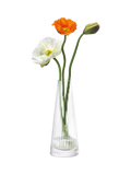 LSA International Beacon ribbed glass candle holder 22cm British product