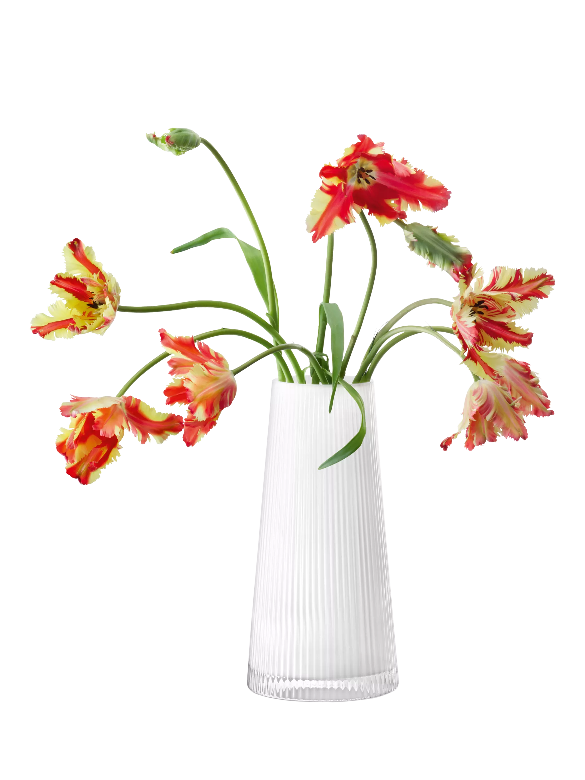 LSA International glass candle holder H30cm, UK version