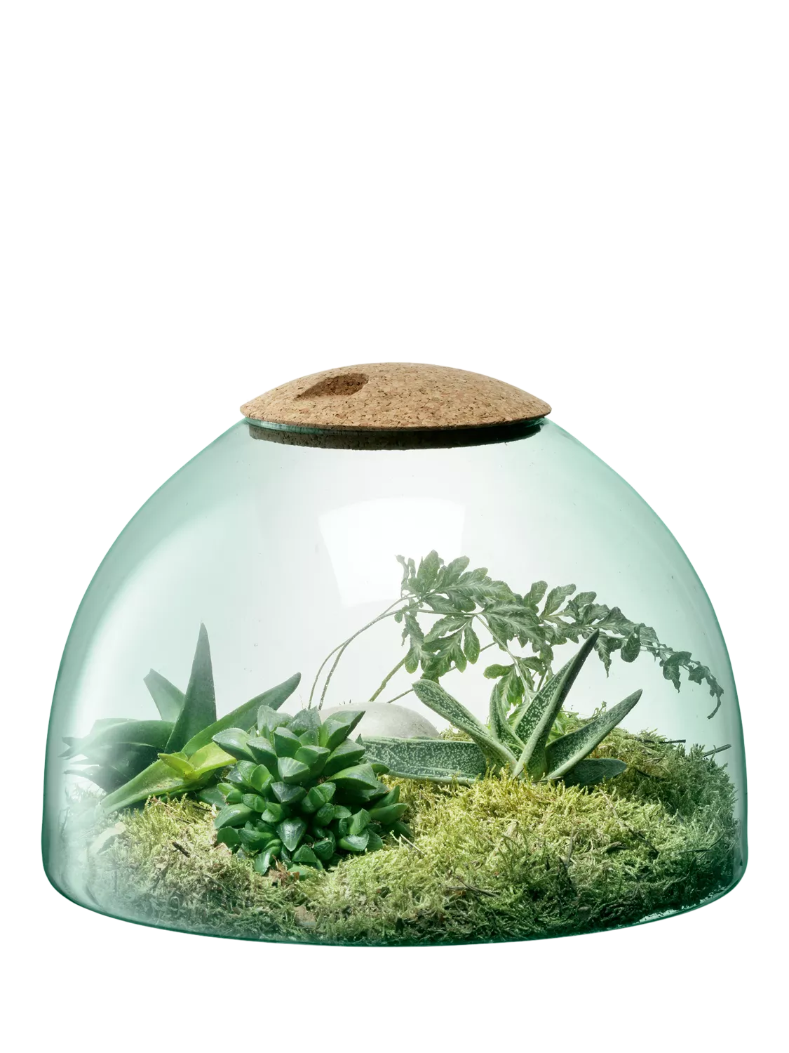 LSA International Canopy closed garden planter recycled glass H22cm, UK version