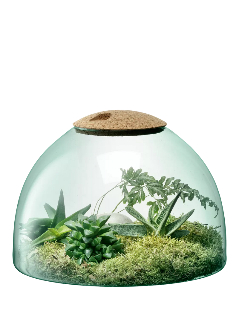 LSA International Canopy closed garden planter recycled glass H22cm, UK version