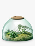 LSA International Canopy closed garden planter recycled glass H22cm, UK version