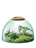 LSA International Canopy closed garden planter recycled glass H22cm, UK version
