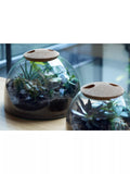 LSA International Canopy closed garden planter recycled glass H22cm, UK version