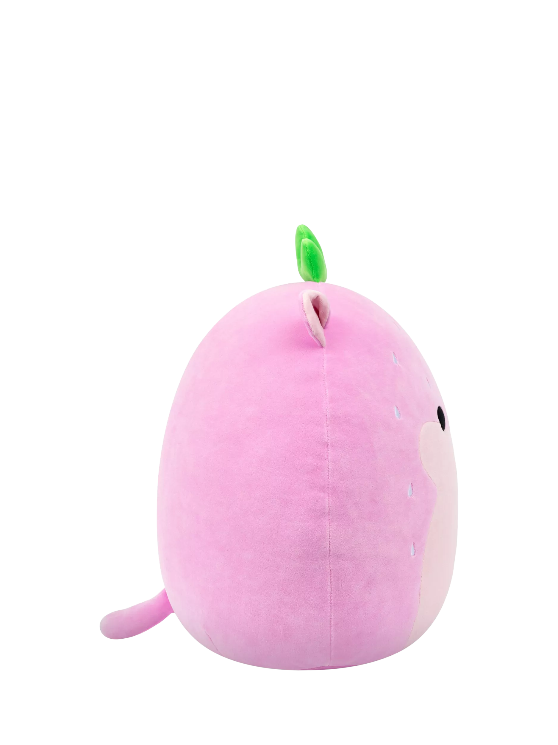 Squishmallows Davi 16 inch plush toy (British brand)