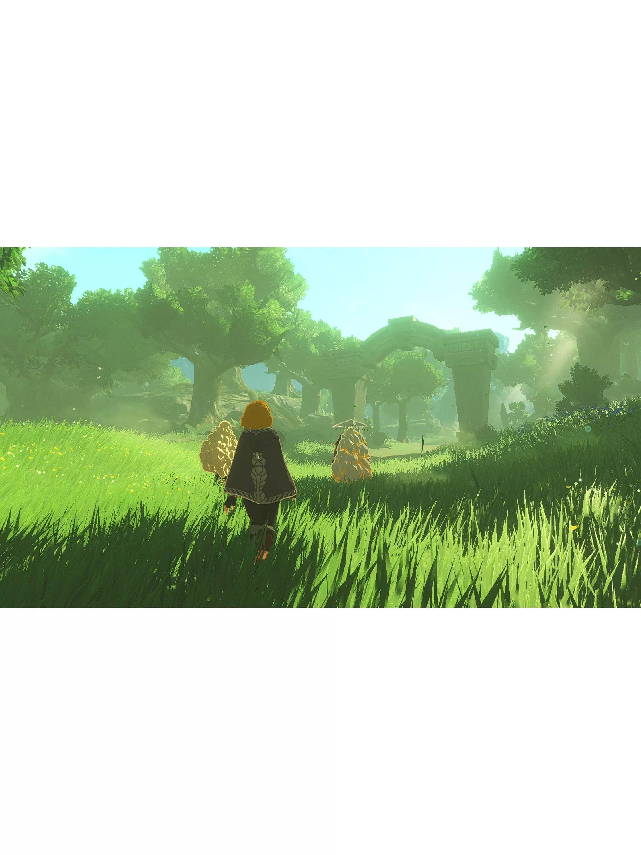 Nintendo Hyrule Warriors Age of Imprisonment Switch 2 game, UK version