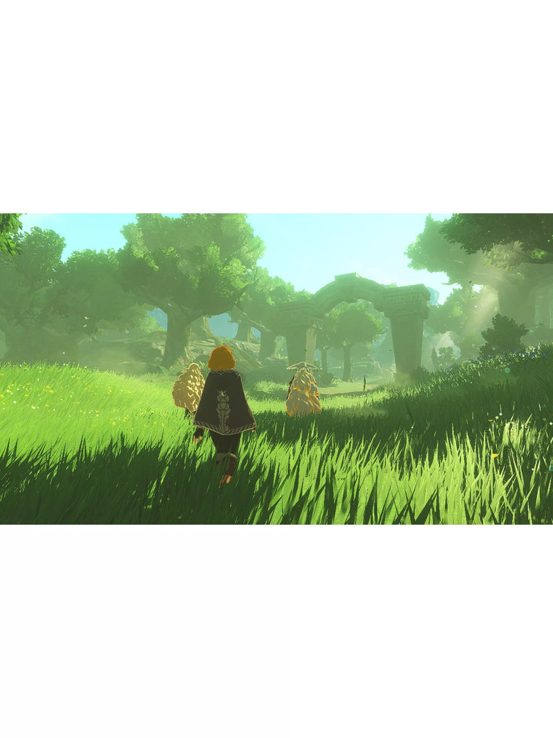 Nintendo Hyrule Warriors Age of Imprisonment Switch 2 game, UK version