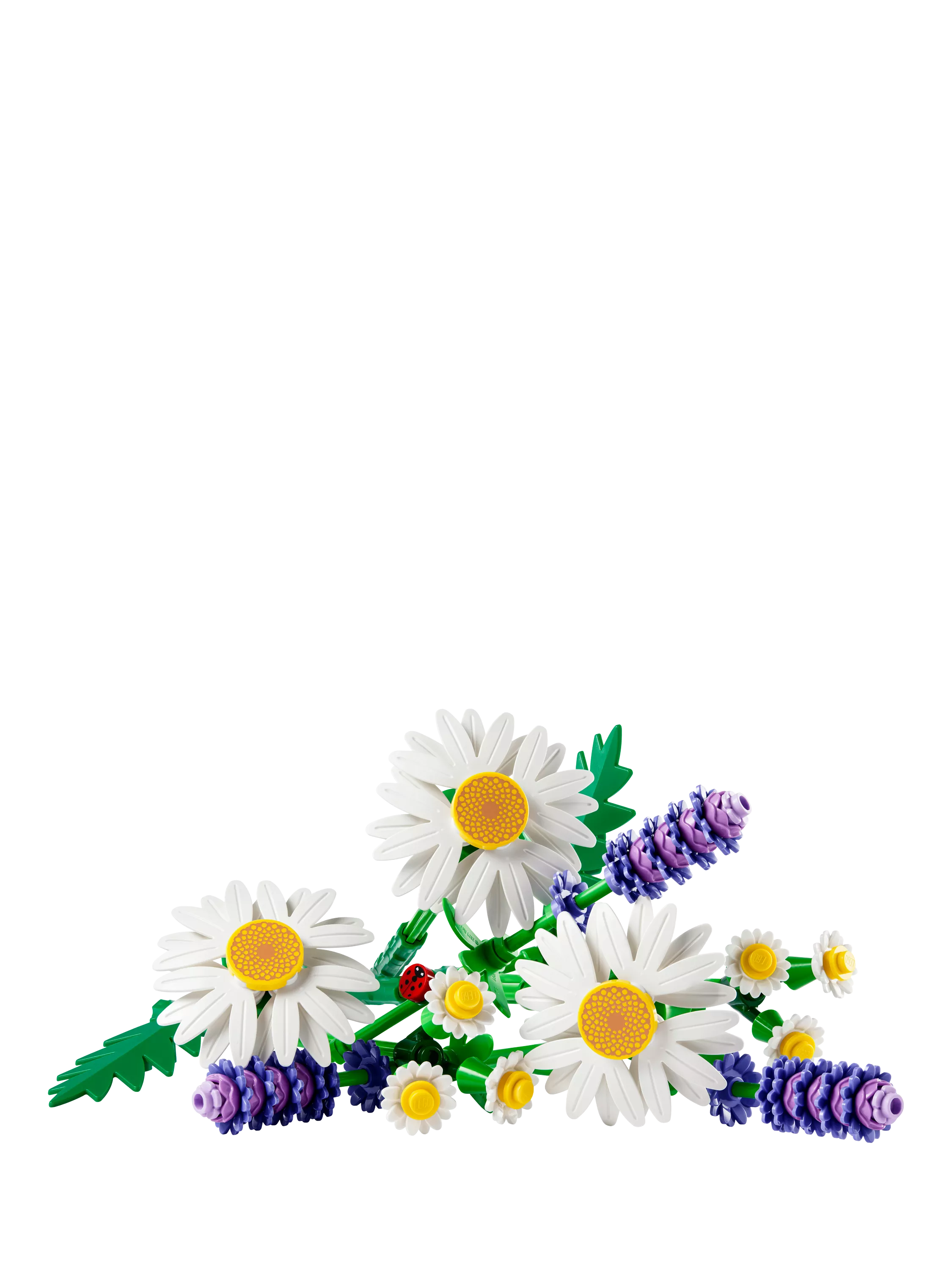 LEGO Botanicals Daisies artificial plant building set (British brand)