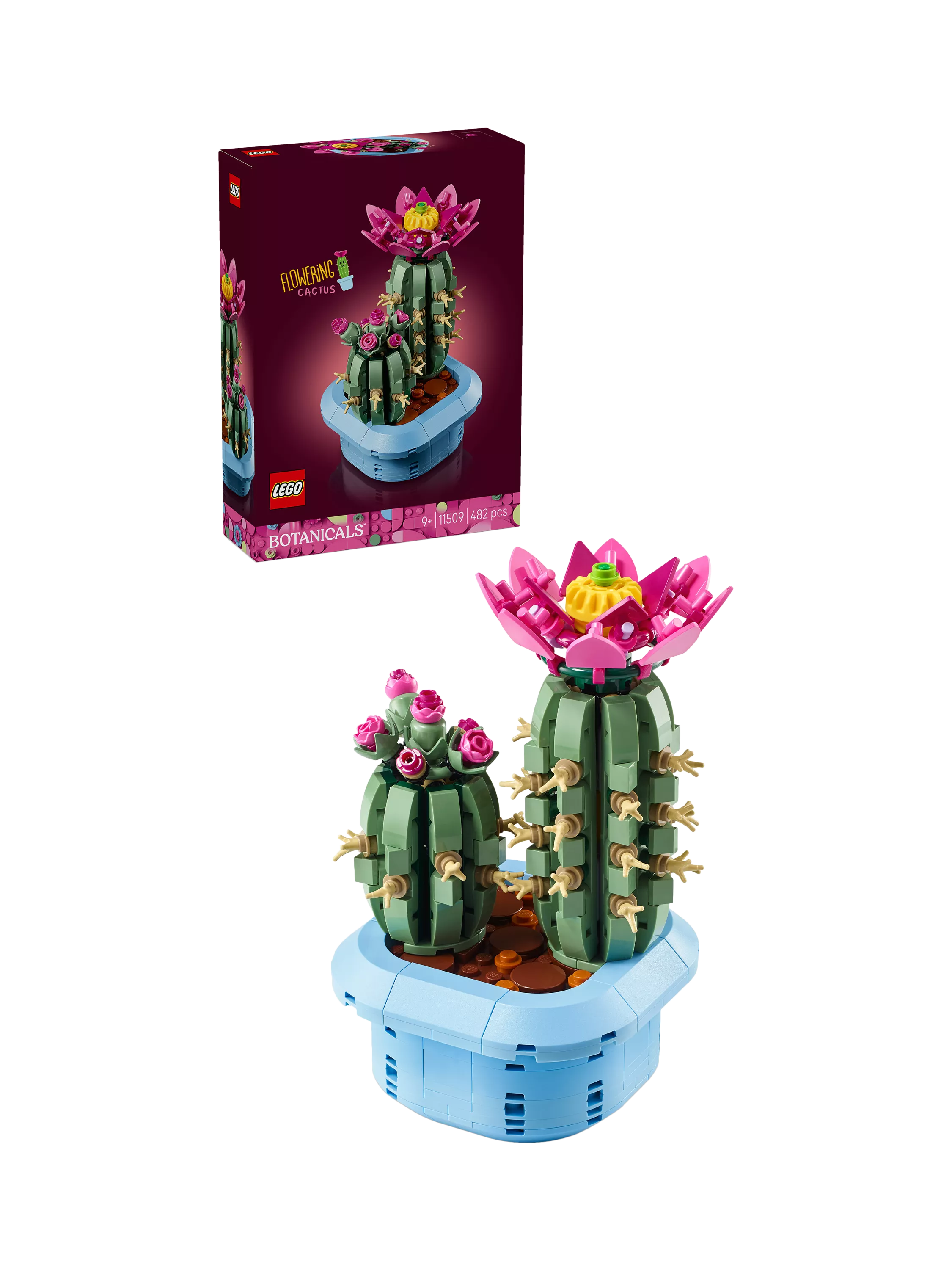 LEGO Botanicals Flowering Cactus building set 482 pieces - British product