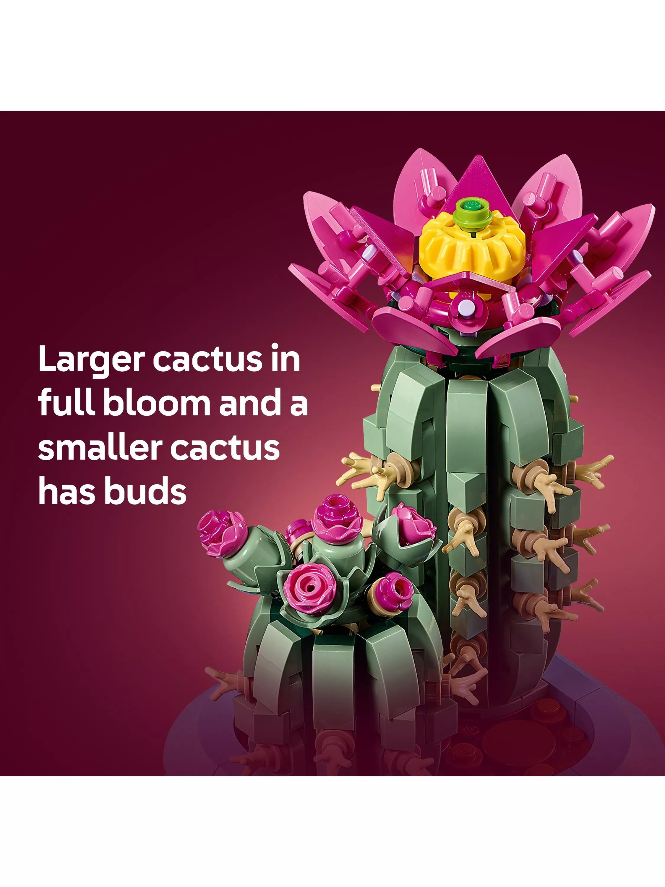 LEGO Botanicals Flowering Cactus building set 482 pieces - British product