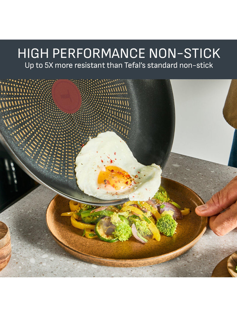 Tefal deep frying pan stainless steel non-stick Emotion Plus, UK version