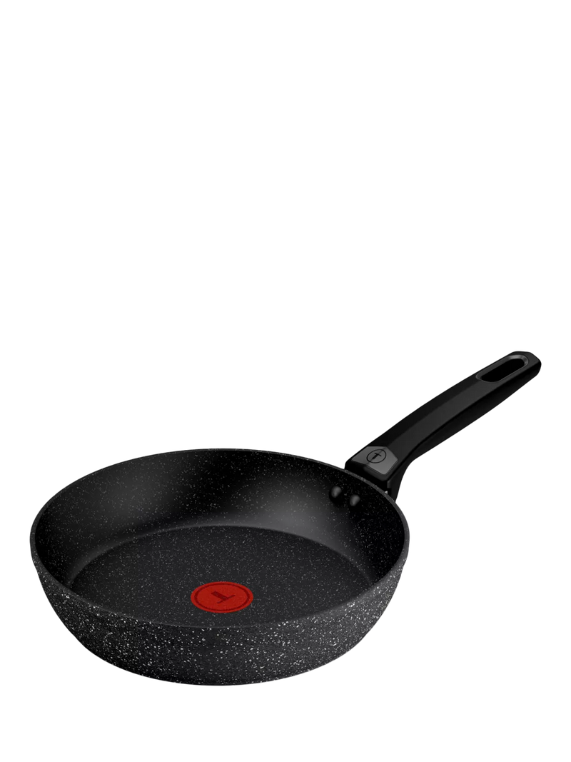 Tefal Expertise Plus non-stick frying pan 24cm (British brand)