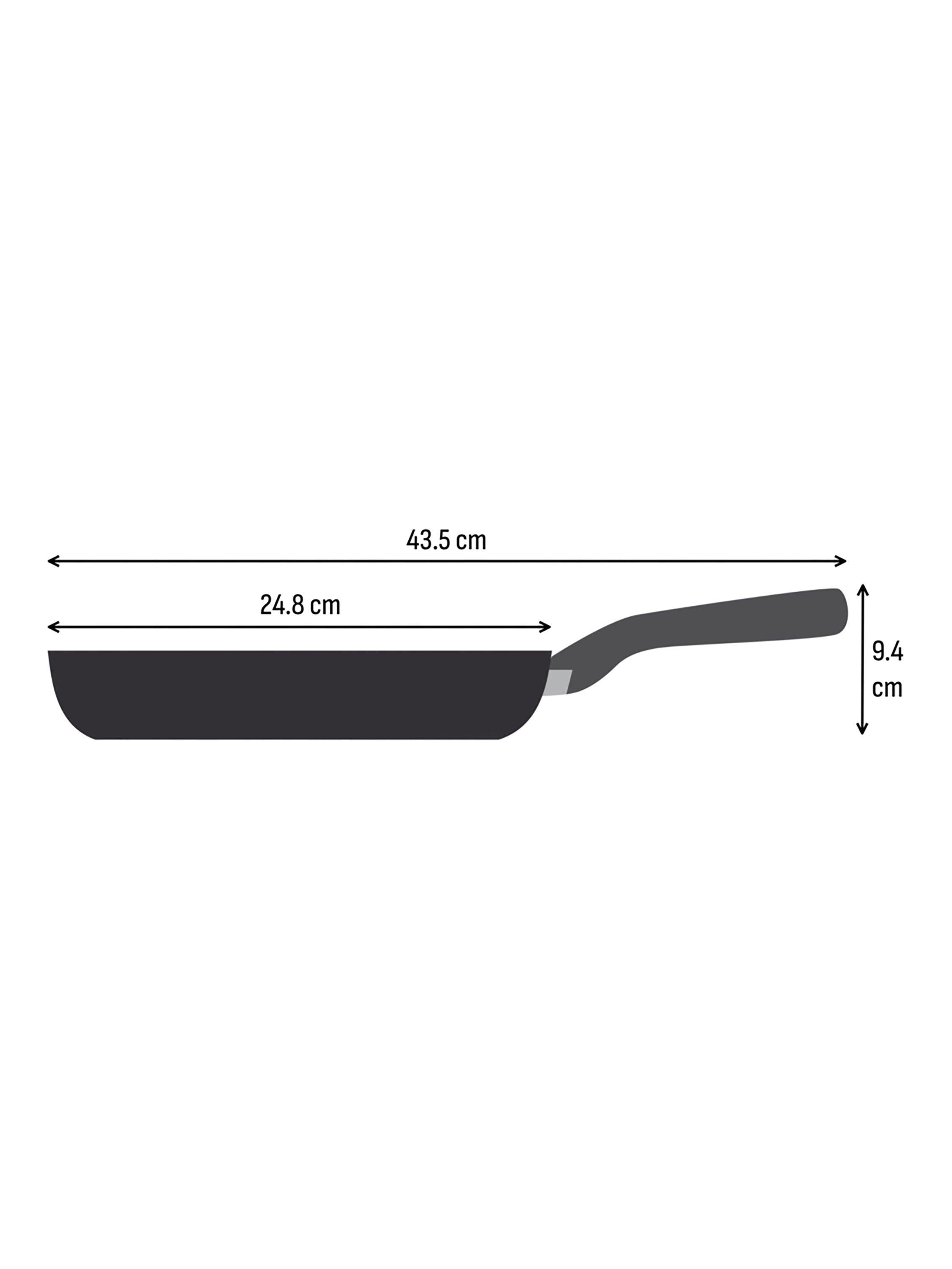 Tefal Expertise Plus non-stick frying pan 24cm (British brand)