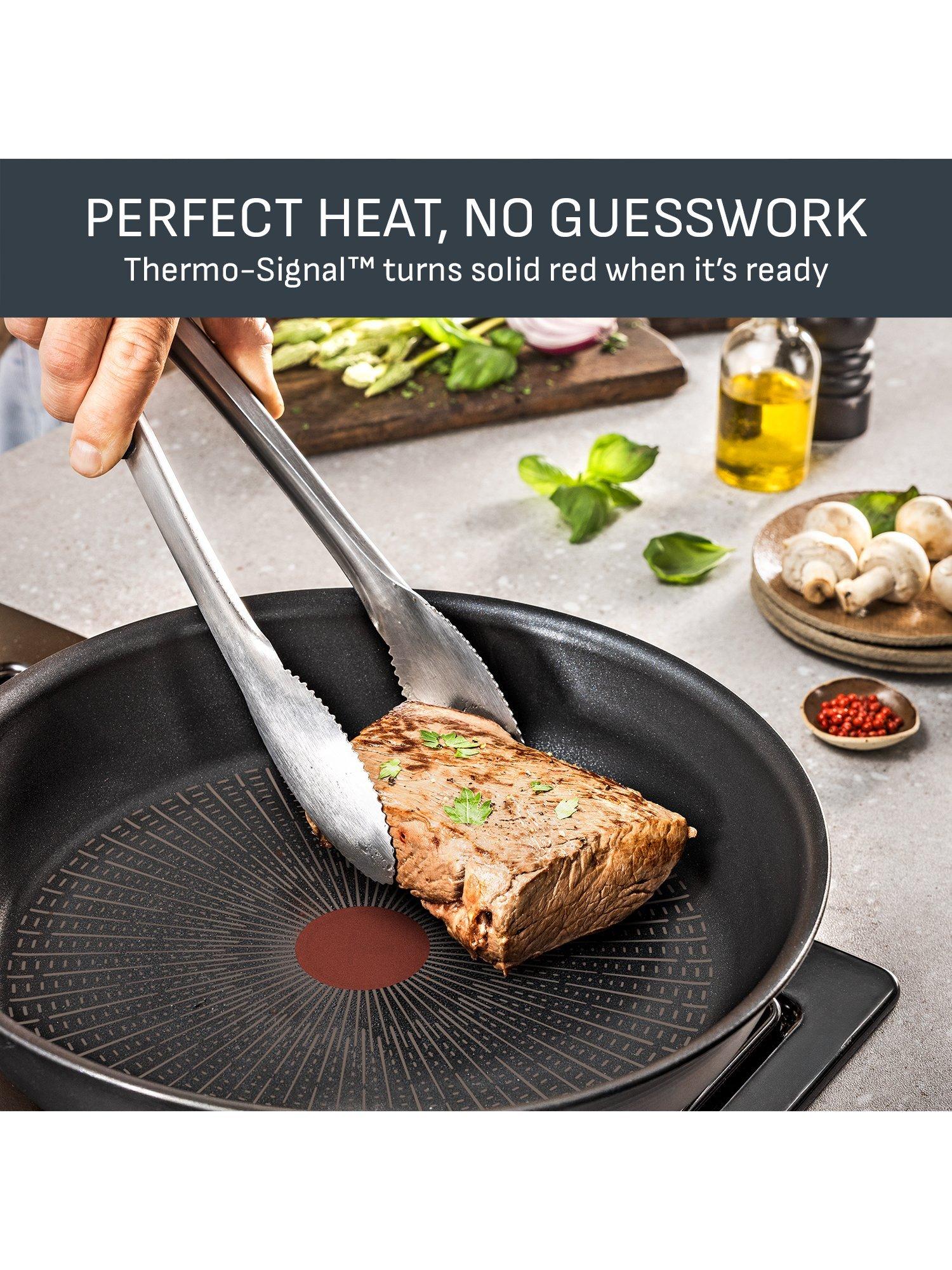 Tefal Excellence Fusion non-stick deep frying pan (British brand)