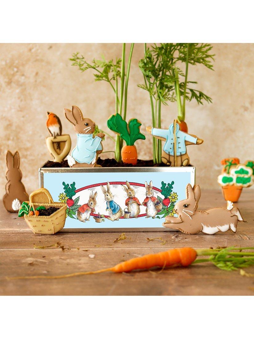 Biscuiteers hand-iced biscuits Peter Rabbit gift tin 120g (British brand)