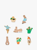 Biscuiteers hand-iced biscuits Peter Rabbit gift tin 120g (British brand)