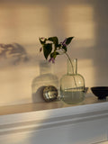 Neptune Primrose green glass carafe 1L, UK version