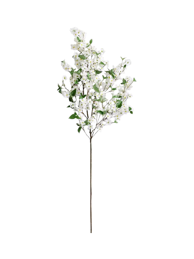 Pottery Barn dogwood flowering branch H137cm - British product