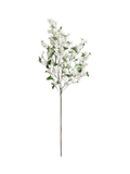Pottery Barn dogwood flowering branch H137cm - British product