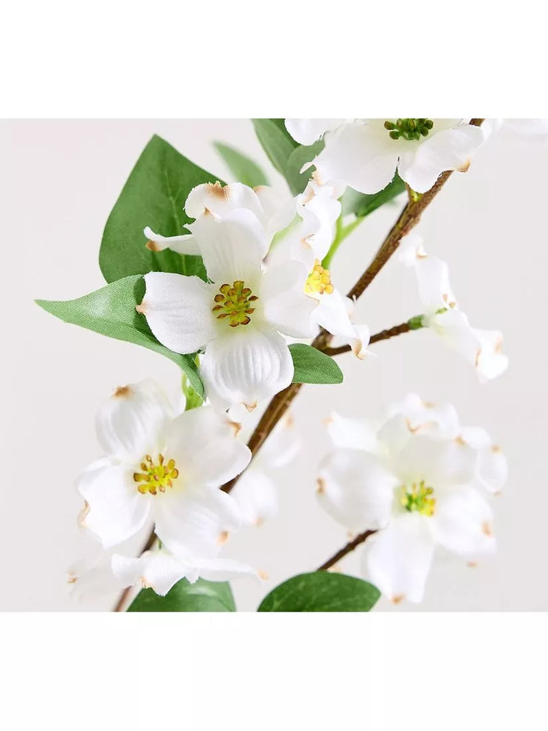 Pottery Barn dogwood flowering branch H137cm - British product