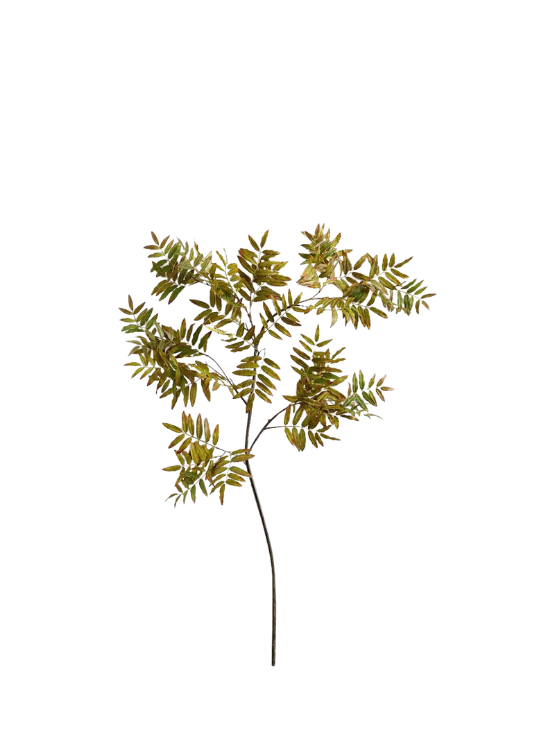 Pottery Barn artificial sumac branch H160cm green - British product