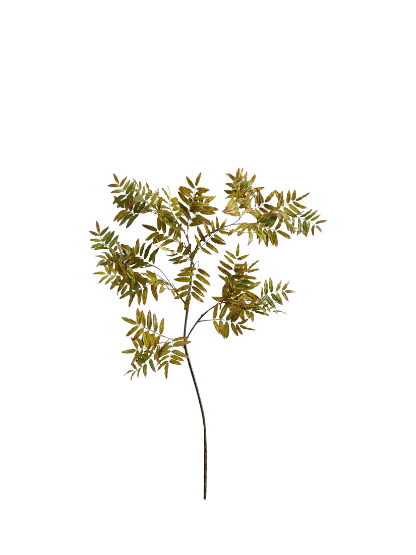 Pottery Barn artificial sumac branch H160cm green - British product