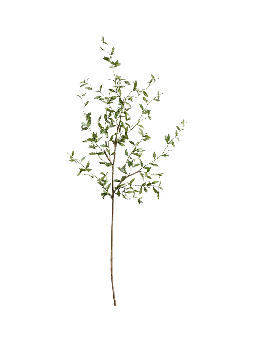 Pottery Barn mini green leaf branch H127cm, UK version