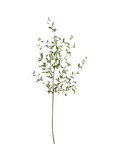 Pottery Barn mini green leaf branch H127cm, UK version