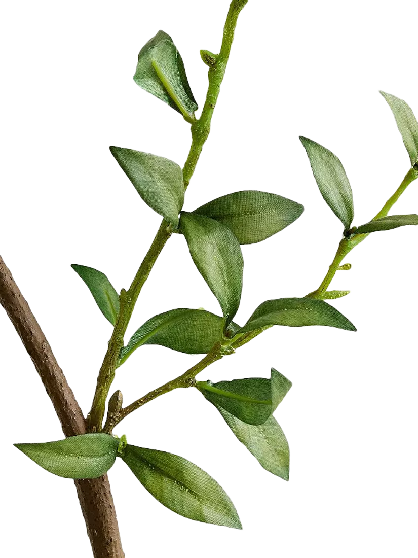 Pottery Barn mini green leaf branch H127cm, UK version