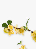 Pottery Barn quince branch artificial 124cm (British brand)